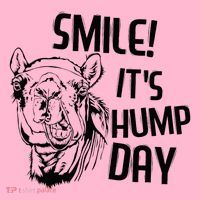 Funny Camel Smile! ItS Hump Day Funny Hump Day Coaster thumb 2
