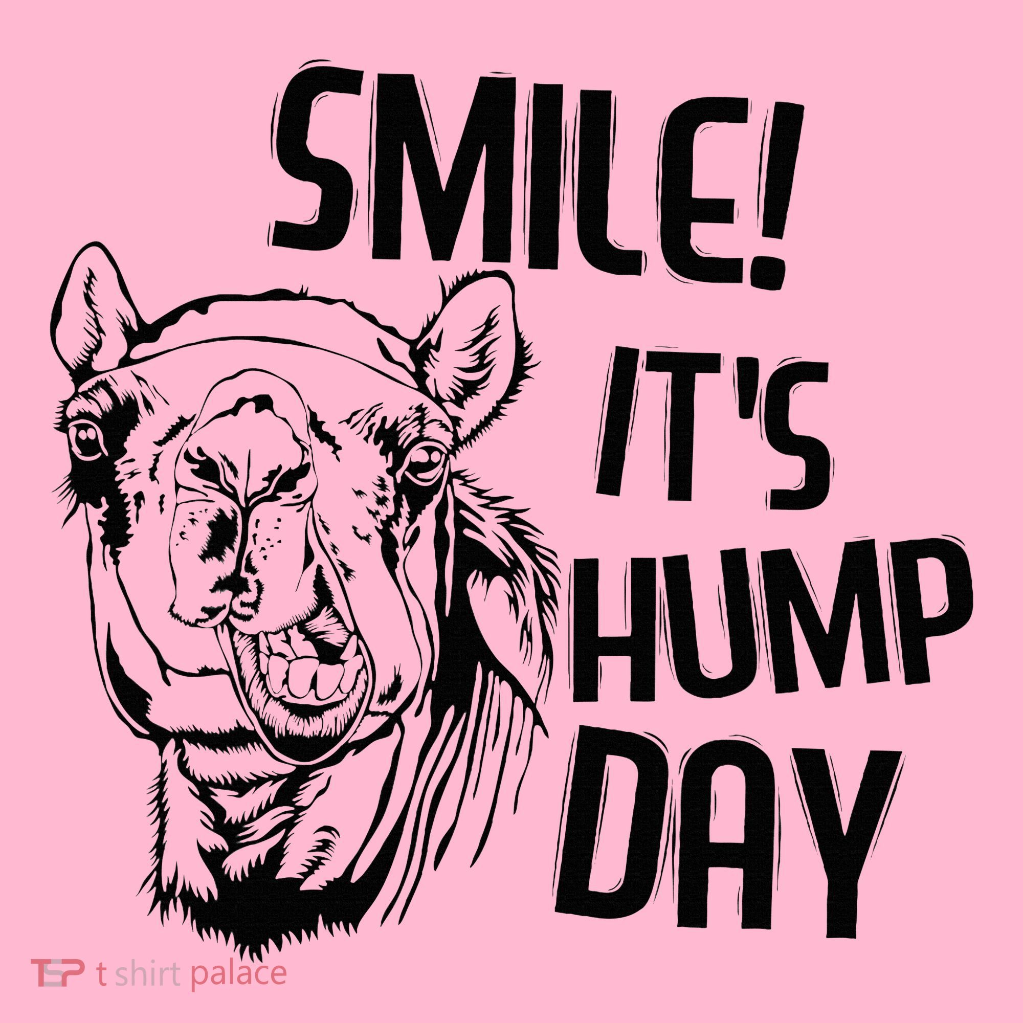 Funny Camel Smile! ItS Hump Day Funny Hump Day Coaster