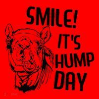 Funny Camel Smile! ItS Hump Day Funny Hump Day Santa Hat thumb 1
