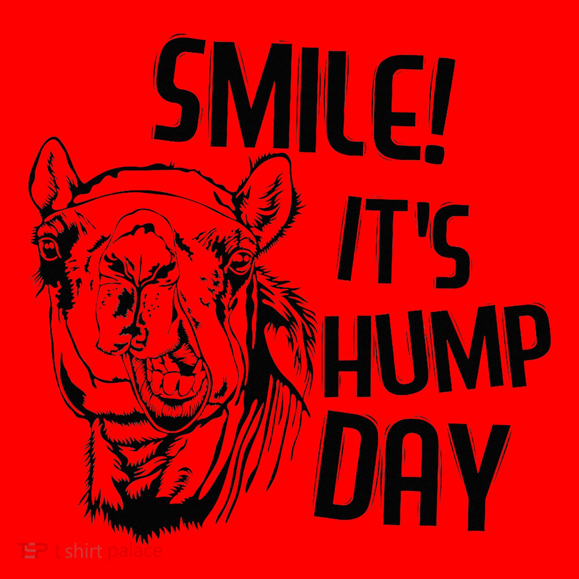 Funny Camel Smile! ItS Hump Day Funny Hump Day Santa Hat