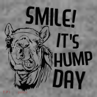 Funny Camel Smile! ItS Hump Day Funny Hump Day Toddler Hoodie thumb 2