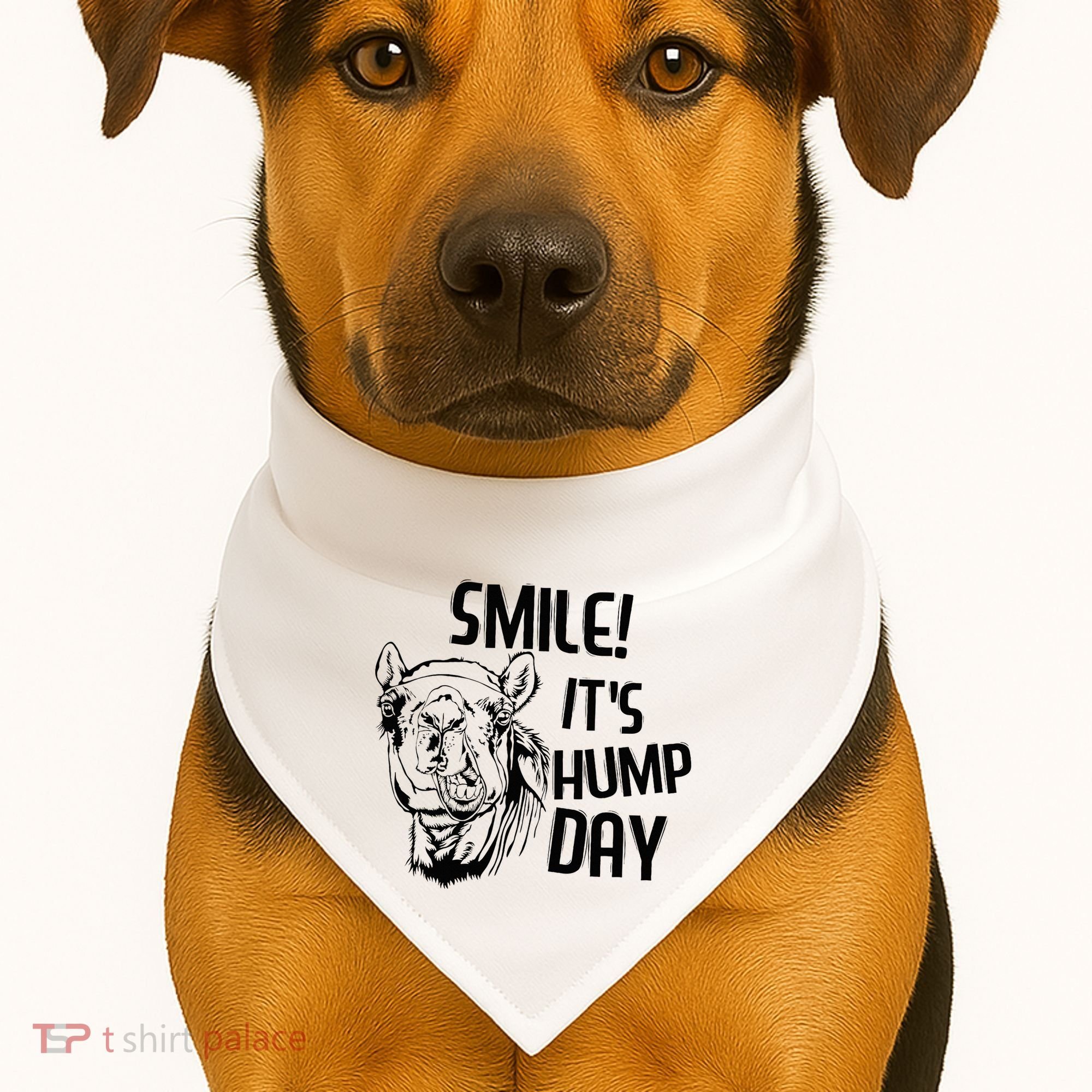 Funny Camel Smile! ItS Hump Day Funny Hump Day USA-Made Doggie Bandana