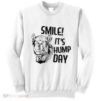 Funny Camel Smile! ItS Hump Day Funny Hump Day Sweatshirt thumb 0