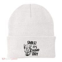 Funny Camel Smile! ItS Hump Day Funny Hump Day Beanie thumb 0