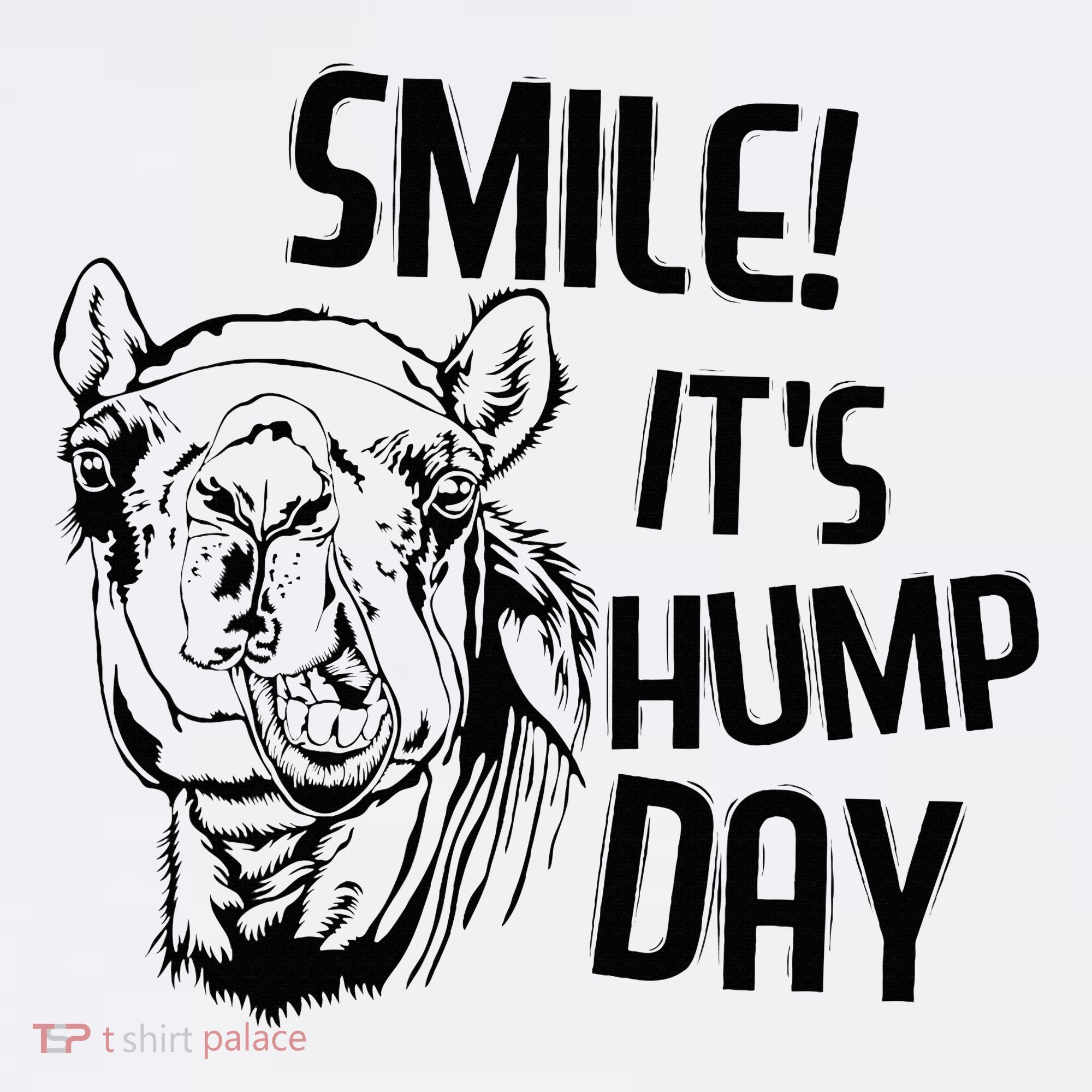 Funny Camel Smile! ItS Hump Day Funny Hump Day Women's Hoodie