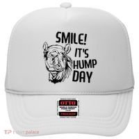 Funny Camel Smile! ItS Hump Day Funny Hump Day Hat thumb 0