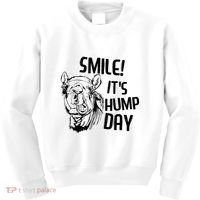 Funny Camel Smile! ItS Hump Day Funny Hump Day Kids Sweatshirt thumb 0