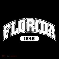 Florida Collegiate Style 1845 Toddler Hoodie thumb 2