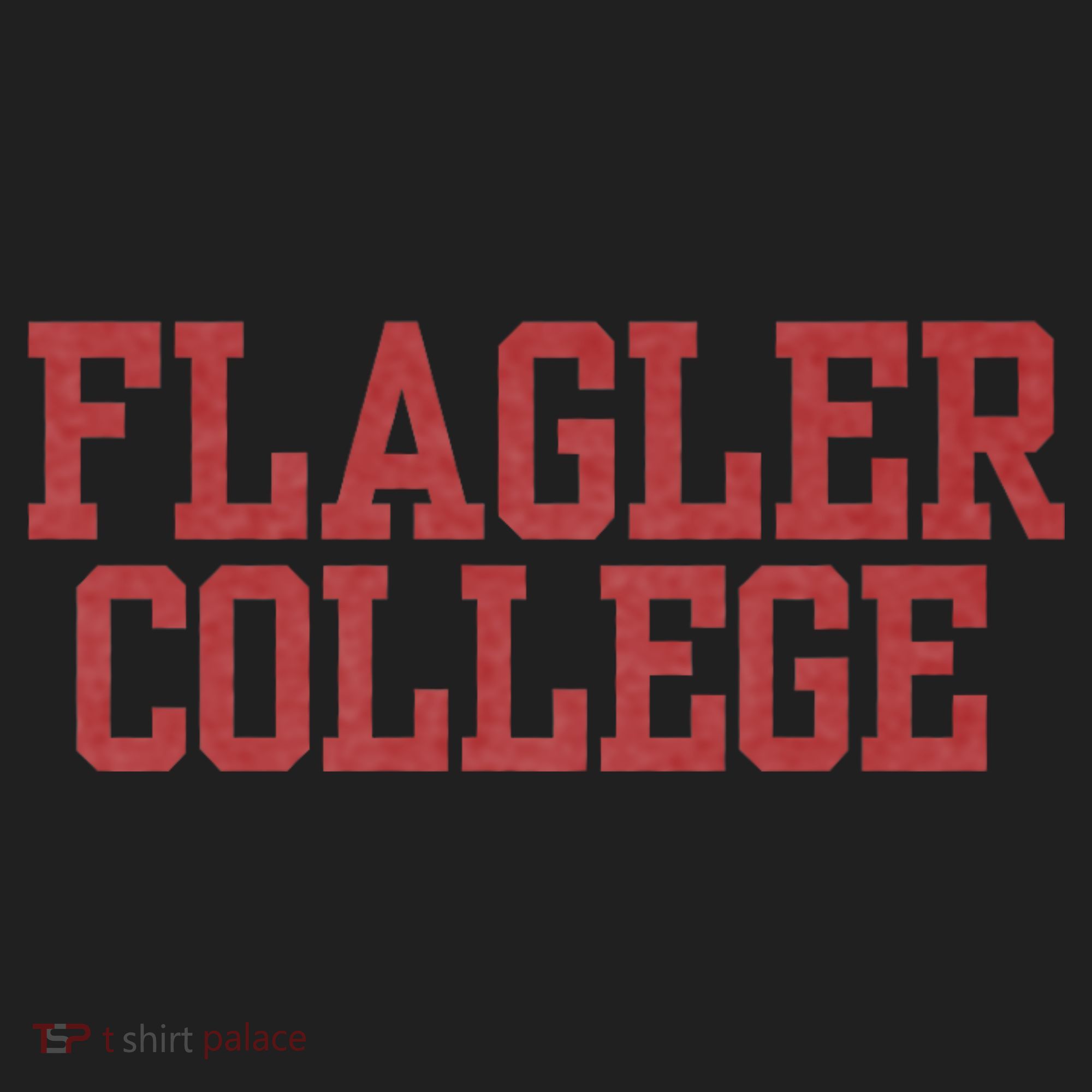 Flagler College St. Augustine Women's Sweatshirt