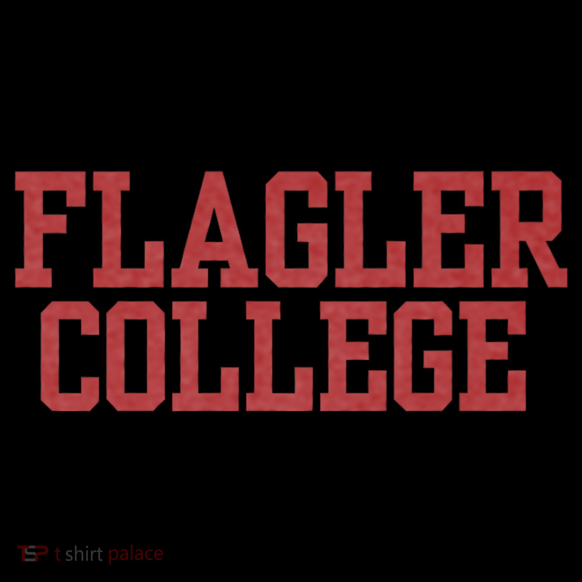 Flagler College St. Augustine Coaster