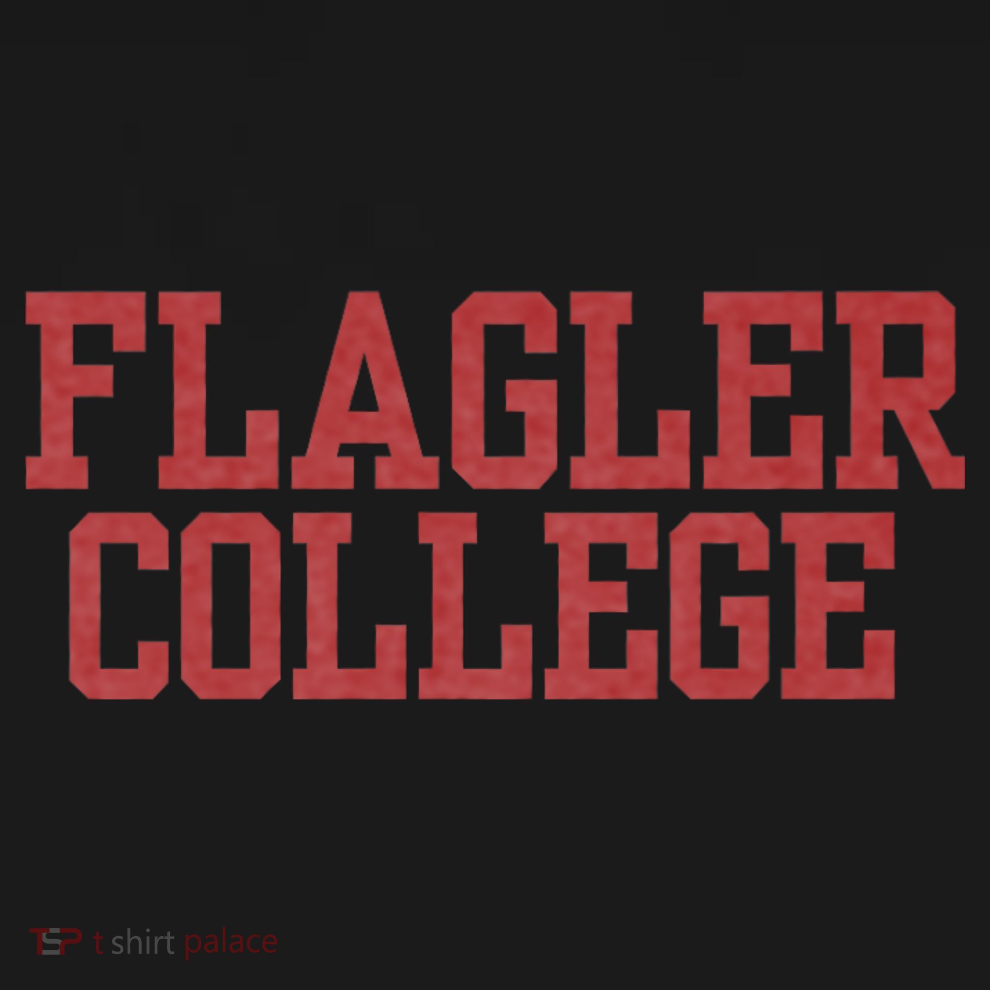 Flagler College St. Augustine Polo