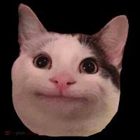 Funny Cat Smiling Cat Beluga Visor thumb 3