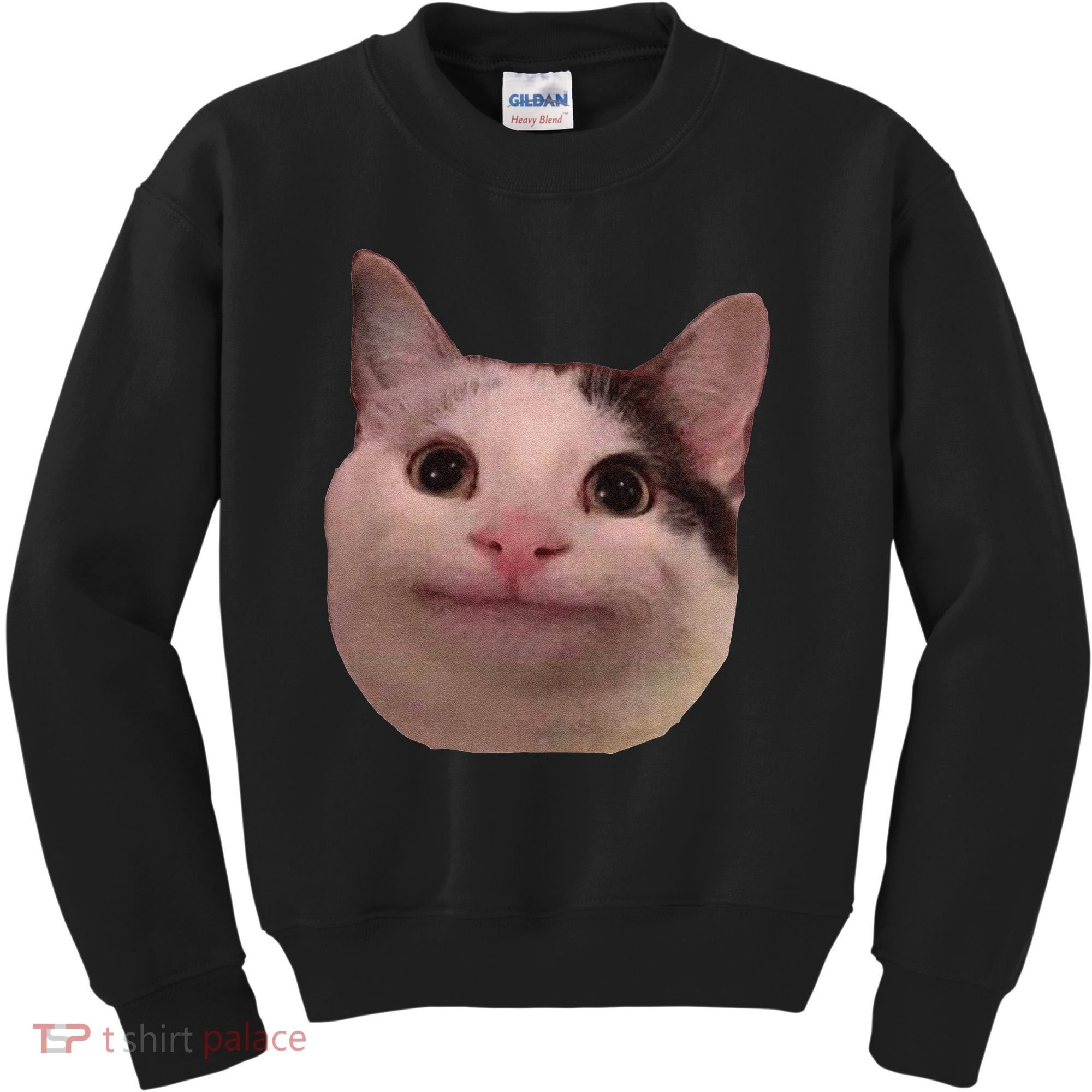 Funny Cat Smiling Cat Beluga Kids Sweatshirt