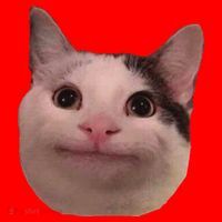 Funny Cat Smiling Cat Beluga Santa Hat thumb 1