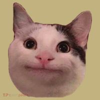 Funny Cat Smiling Cat Beluga Button thumb 1