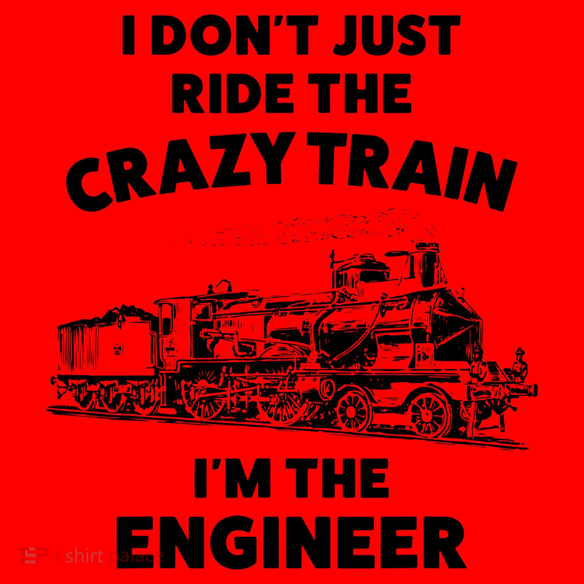 Funny Crazy Train Engineer Shirts For Women Men Santa Hat