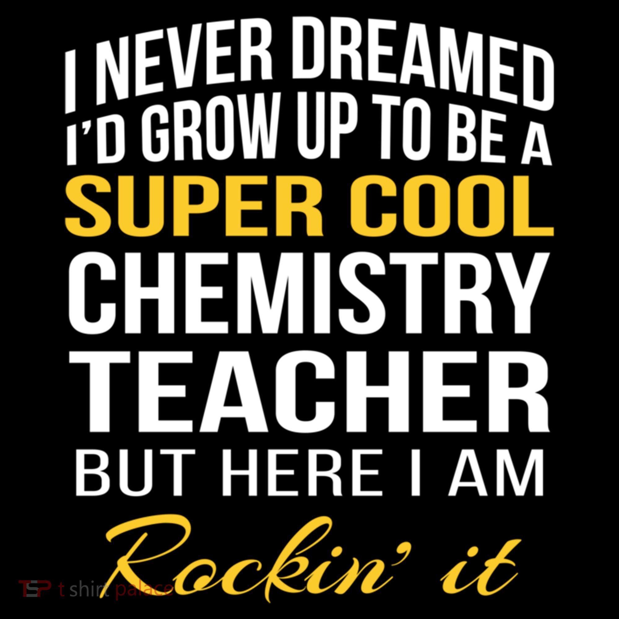 Funny Chemistry Teacher Gift Funny Gift Great Gift Women's Hoodie