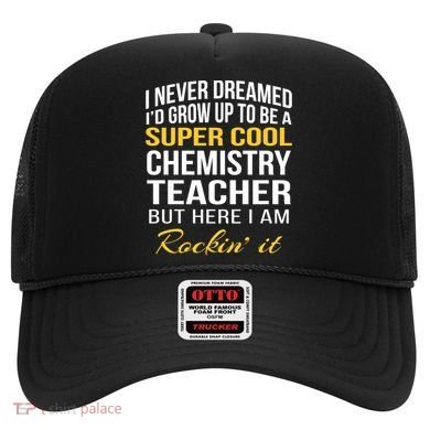 Funny Chemistry Teacher Gift Funny Gift Great Gift Hat