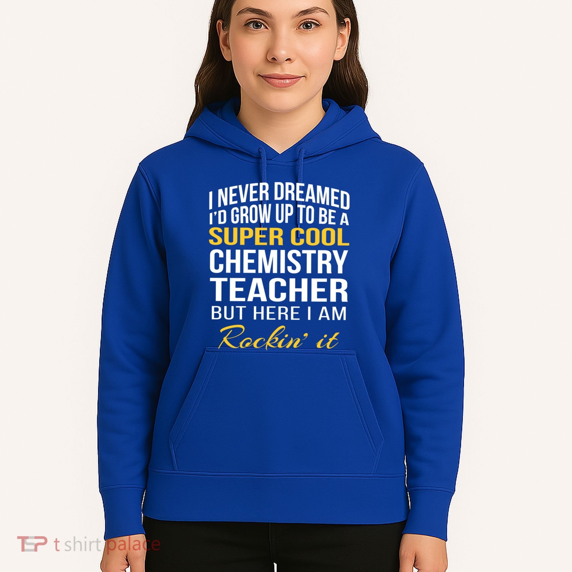 Funny Chemistry Teacher Gift Funny Gift Great Gift Hoodie