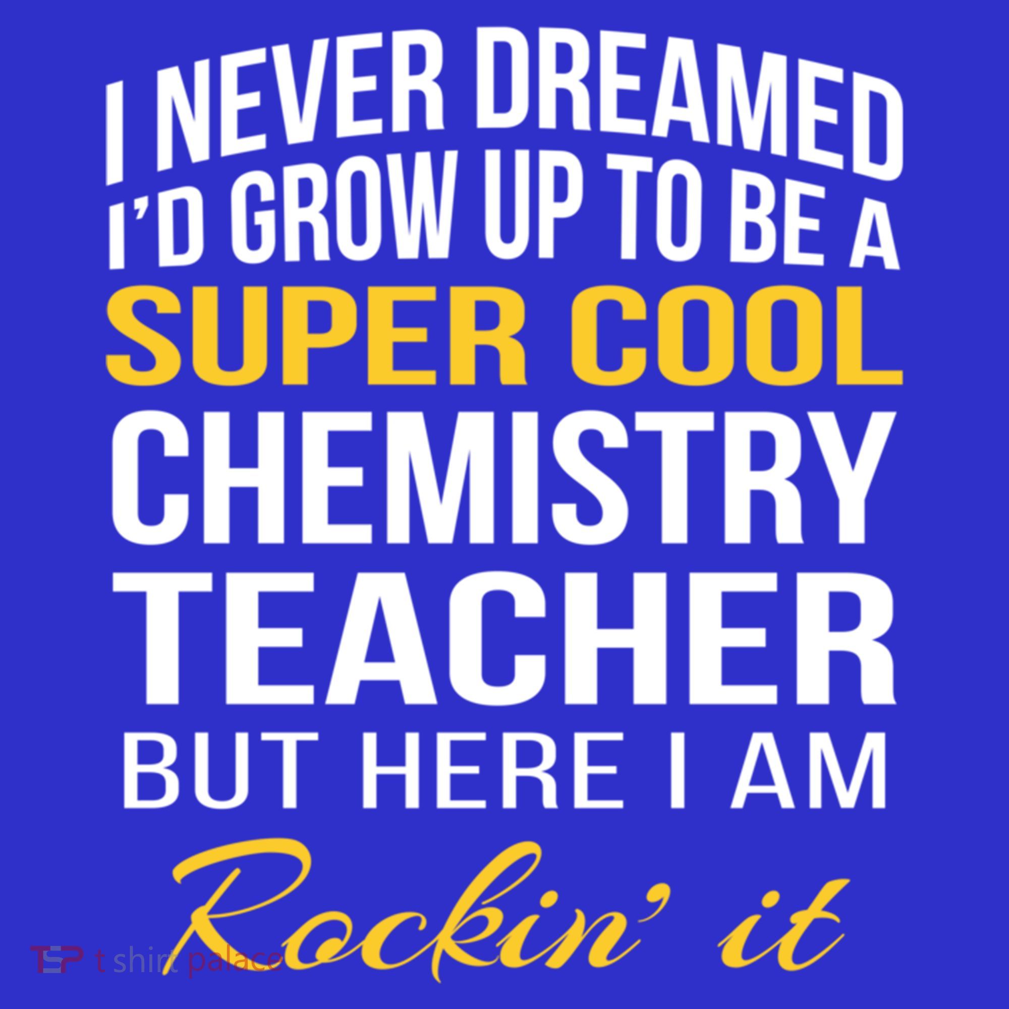 Funny Chemistry Teacher Gift Funny Gift Great Gift Hoodie