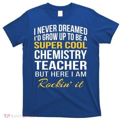 Funny Chemistry Teacher Gift Funny Gift Great Gift T-Shirt