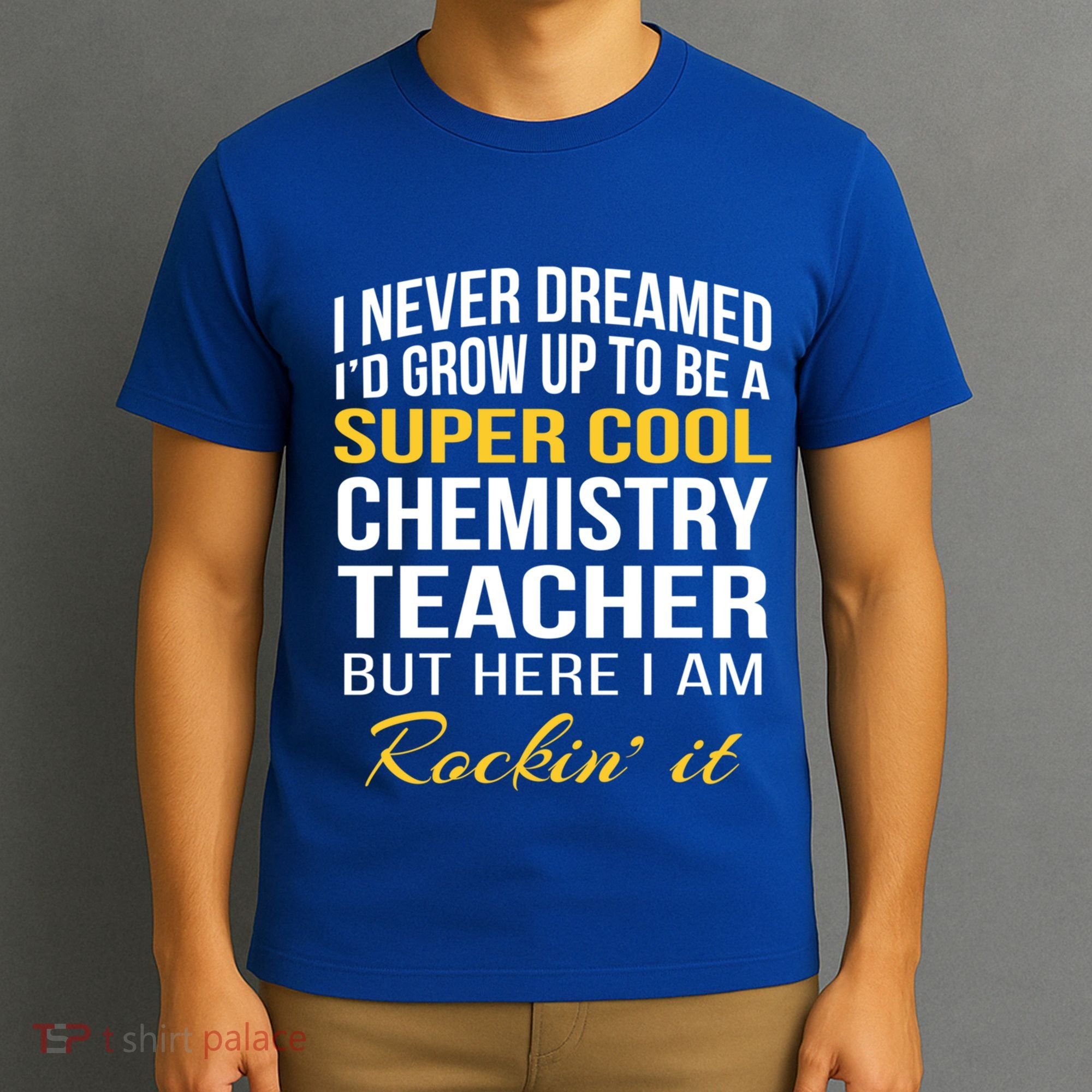 Funny Chemistry Teacher Gift Funny Gift Great Gift T-Shirt