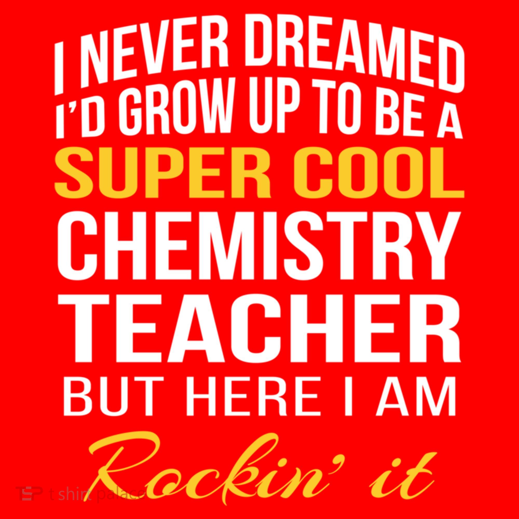 Funny Chemistry Teacher Gift Funny Gift Great Gift Santa Hat