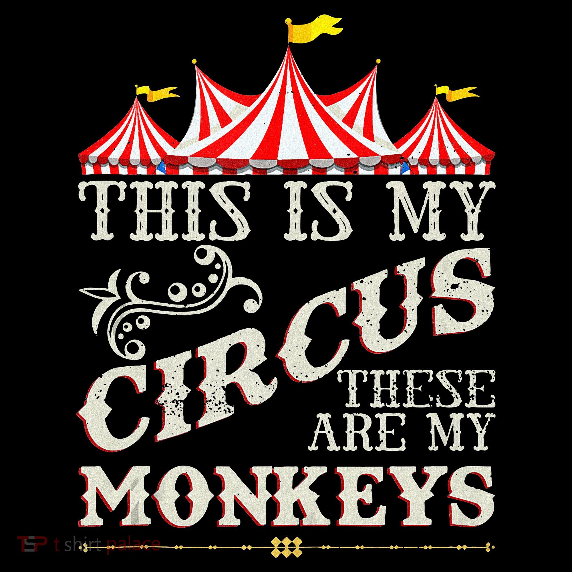 Funny Carnival This Is My Circus These Are My Monkeys Circus Women's Hoodie