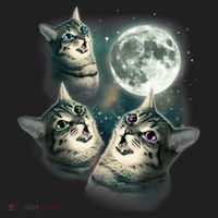 Funny Cat Three Cat Moon 3 Wolfs Cute Kitten Graphic Women's Sweatshirt thumb 2