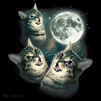 Funny Cat Three Cat Moon 3 Wolfs Cute Kitten Graphic USA-Made Doggie Bandana thumb 2