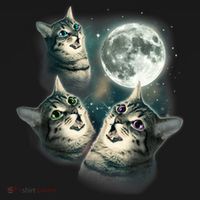 Funny Cat Three Cat Moon 3 Wolfs Cute Kitten Graphic Sweatshirt thumb 3
