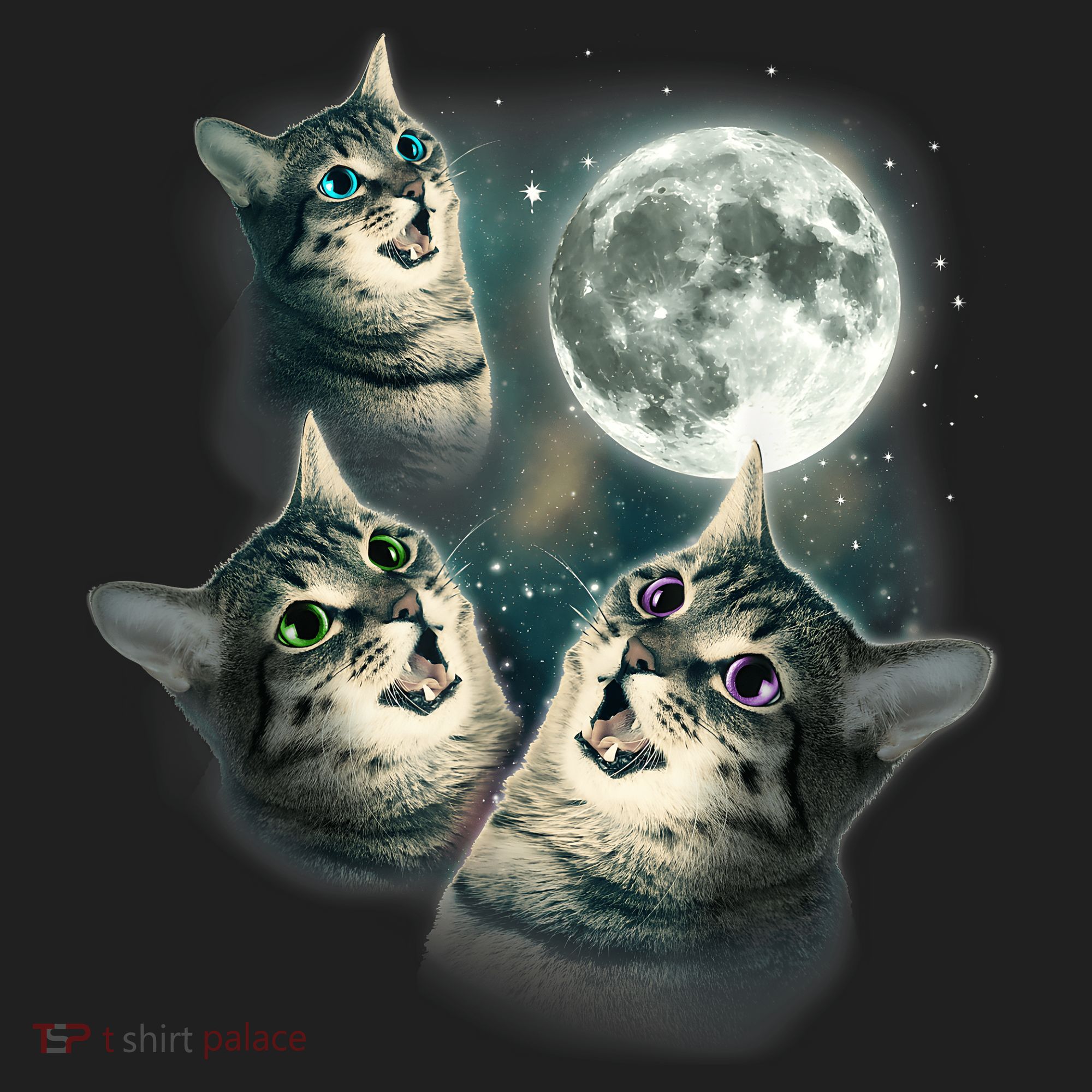 Funny Cat Three Cat Moon 3 Wolfs Cute Kitten Graphic Beanie