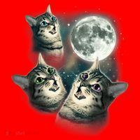 Funny Cat Three Cat Moon 3 Wolfs Cute Kitten Graphic Santa Hat thumb 1