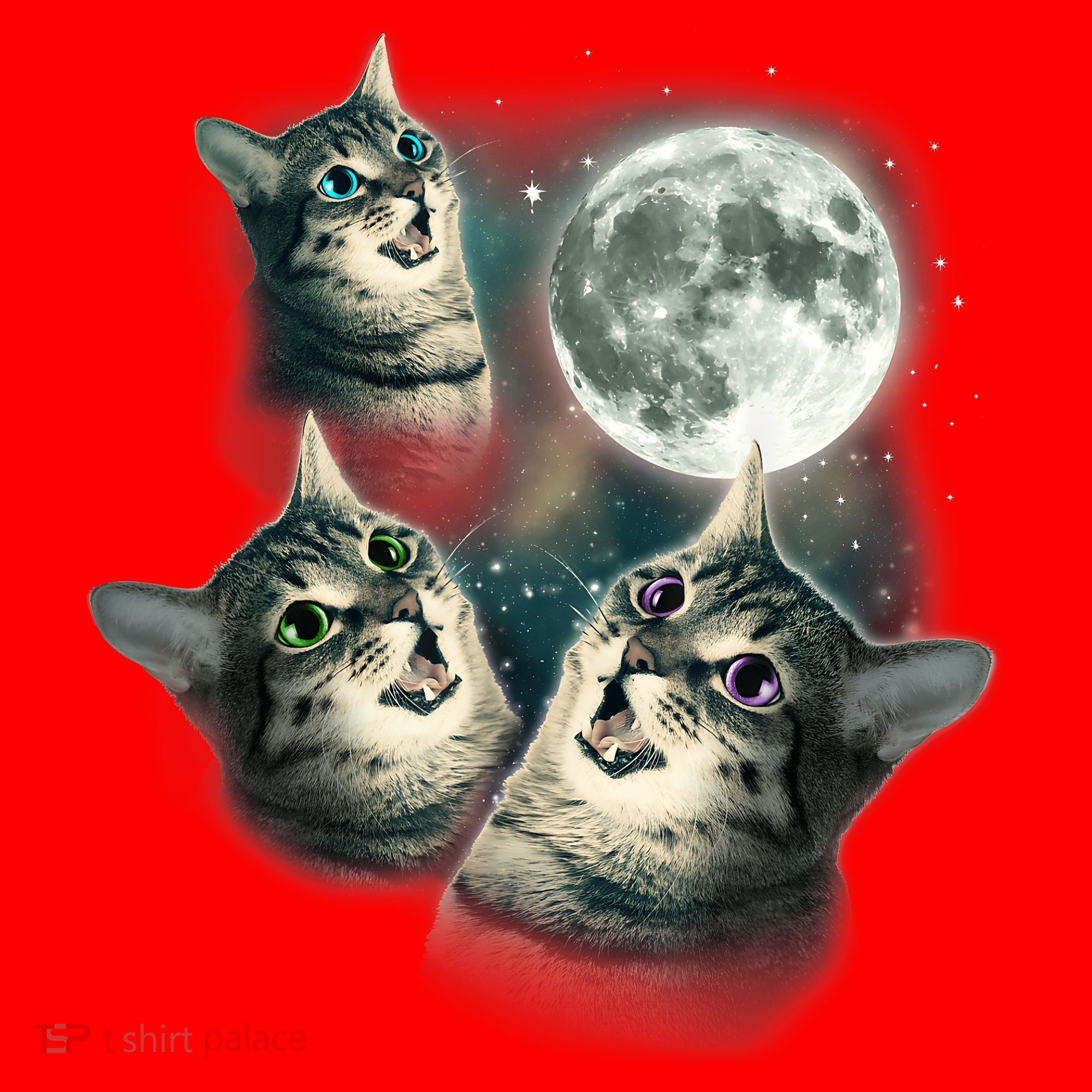 Funny Cat Three Cat Moon 3 Wolfs Cute Kitten Graphic Santa Hat