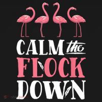 Flamingo Calm The Flock Down Funny Pink Bird Lovers Summer Women's Hoodie thumb 2