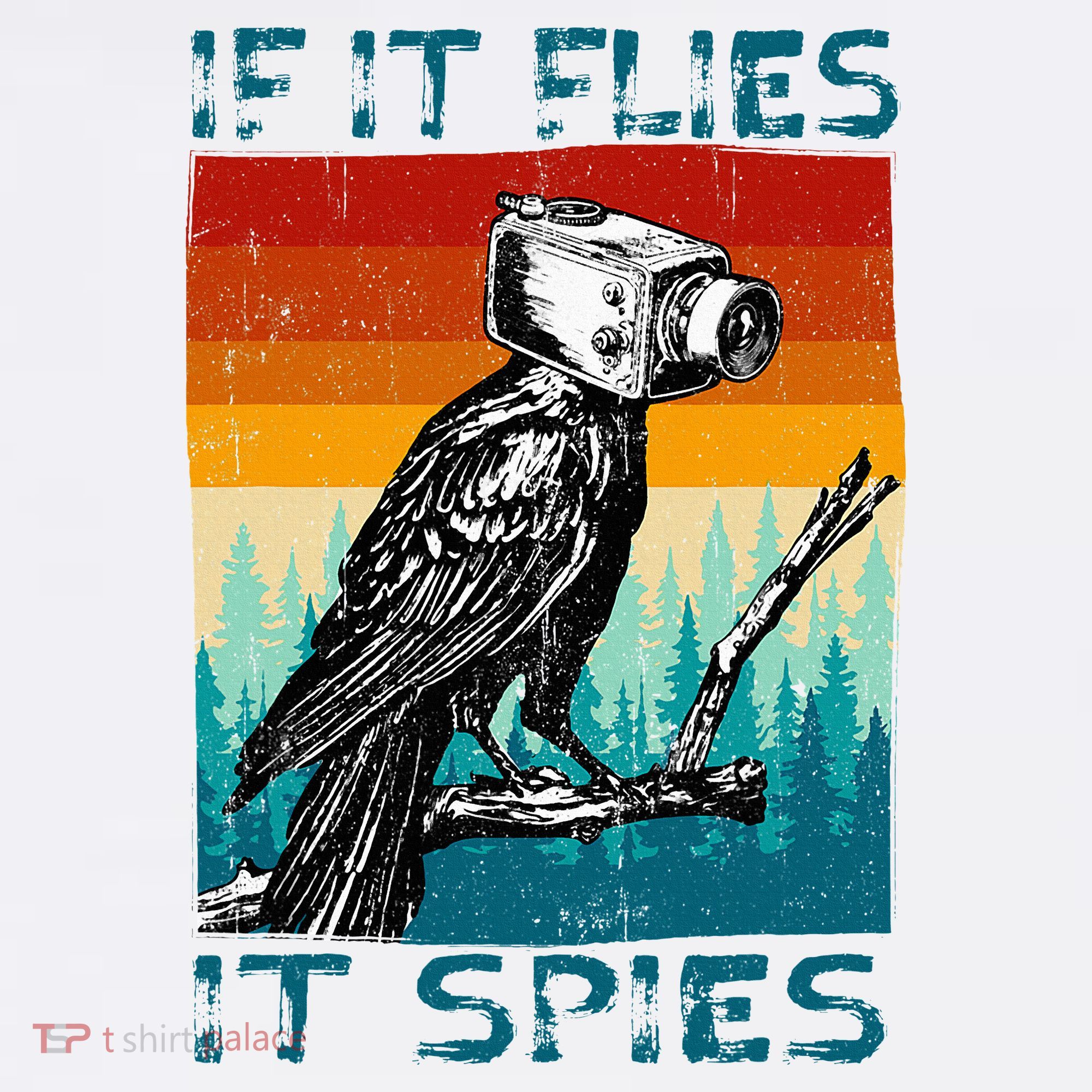 Funny Conspiracy Theory If It Flies It S.P.I.E.S Pigeon Bird Women's Hoodie