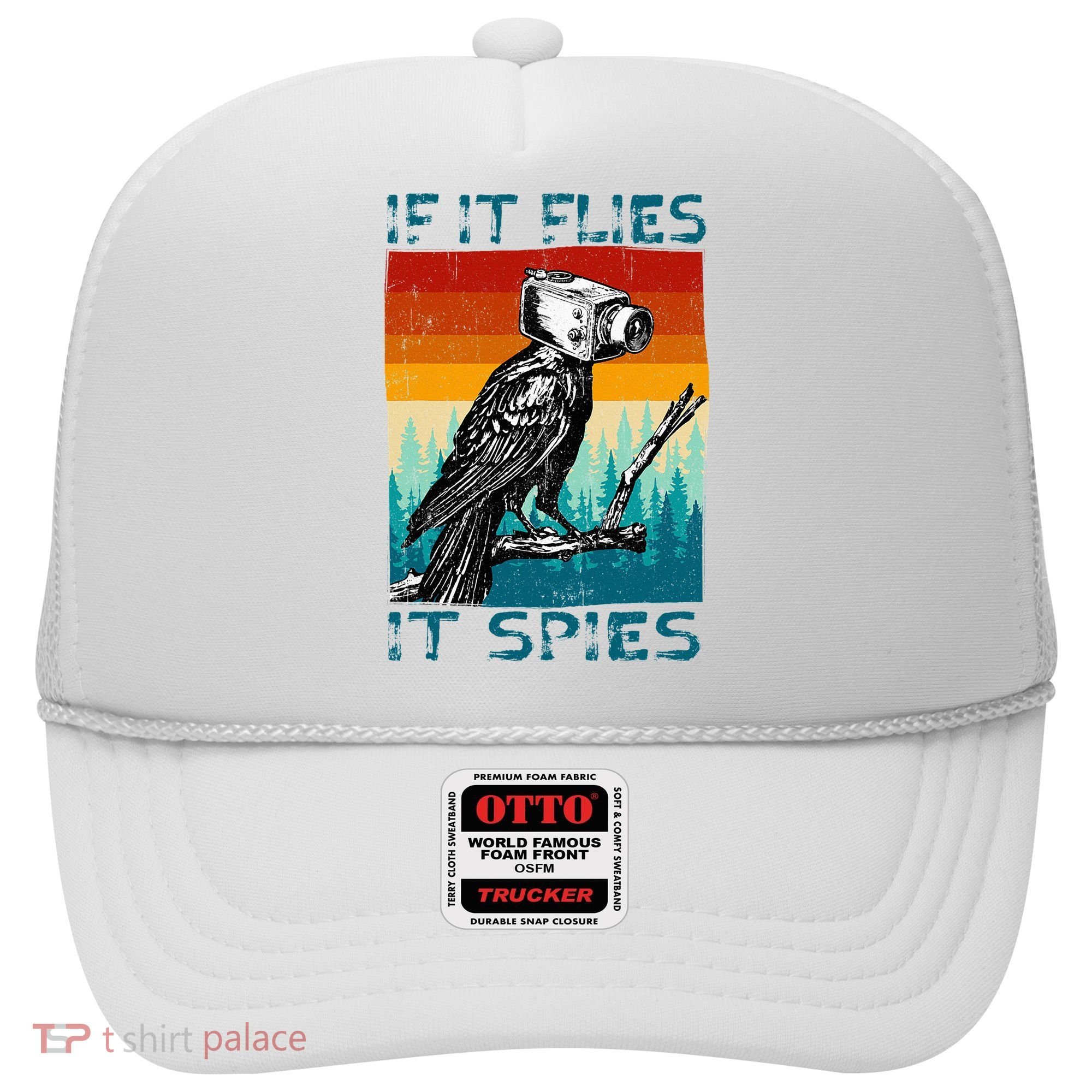 Funny Conspiracy Theory If It Flies It S.P.I.E.S Pigeon Bird Hat