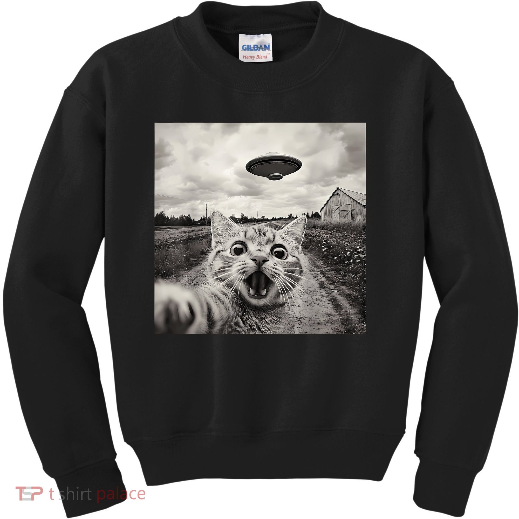 Funny Cat Ufo Alien Selfie Kids Sweatshirt