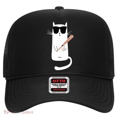 Funny Cat Wearing Sunglasses Playing Baseball Hat