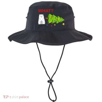 Funny Christmas XMas Cat What? Bucket Hat