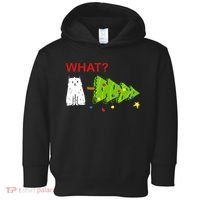 Funny Christmas XMas Cat What? Toddler Hoodie thumb 0