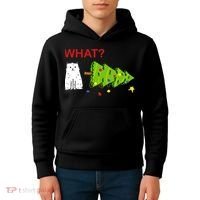 Funny Christmas XMas Cat What? Kids Hoodie thumb 4