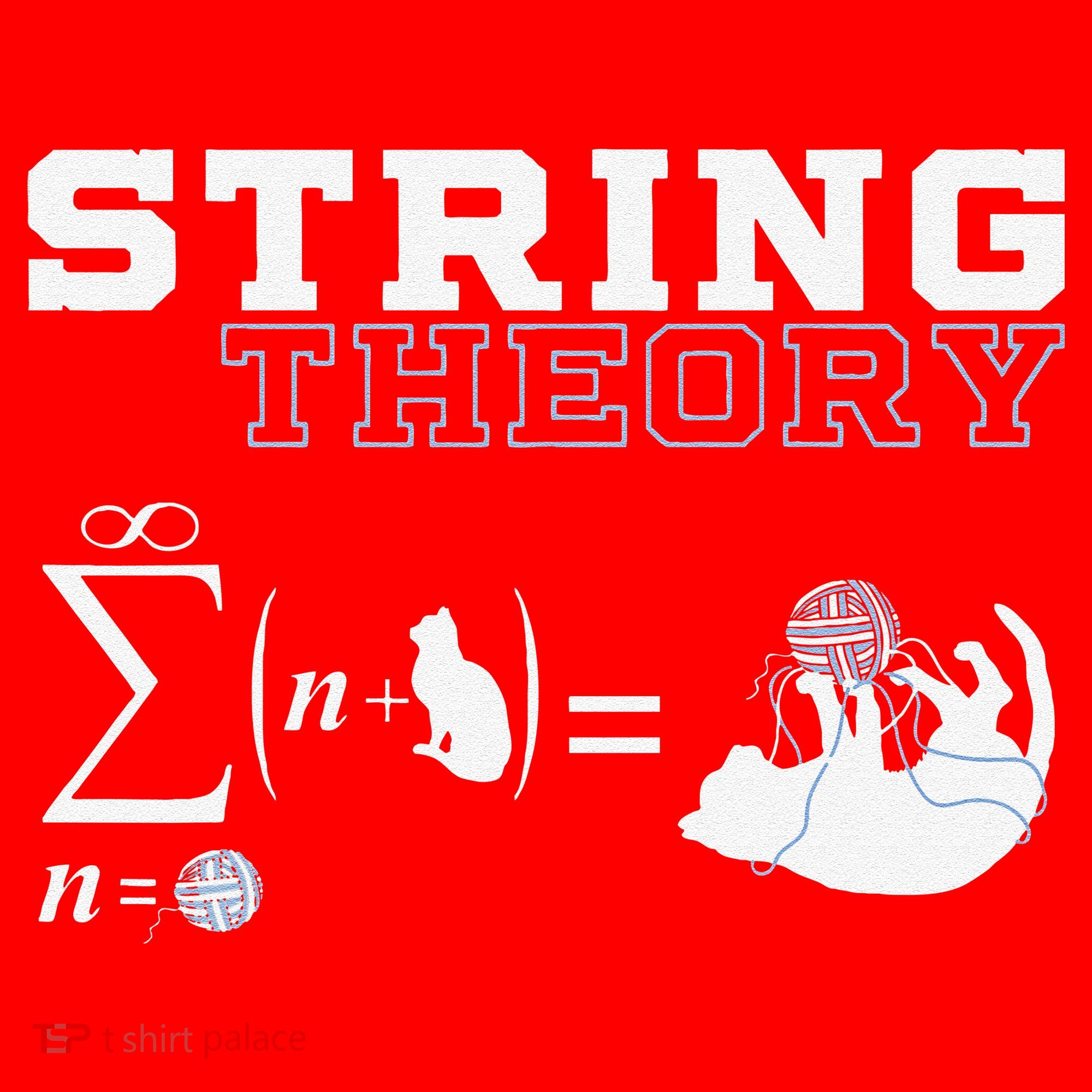 Funny Cat Yarn String Theory Santa Hat