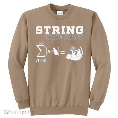 Funny Cat Yarn String Theory Sweatshirt