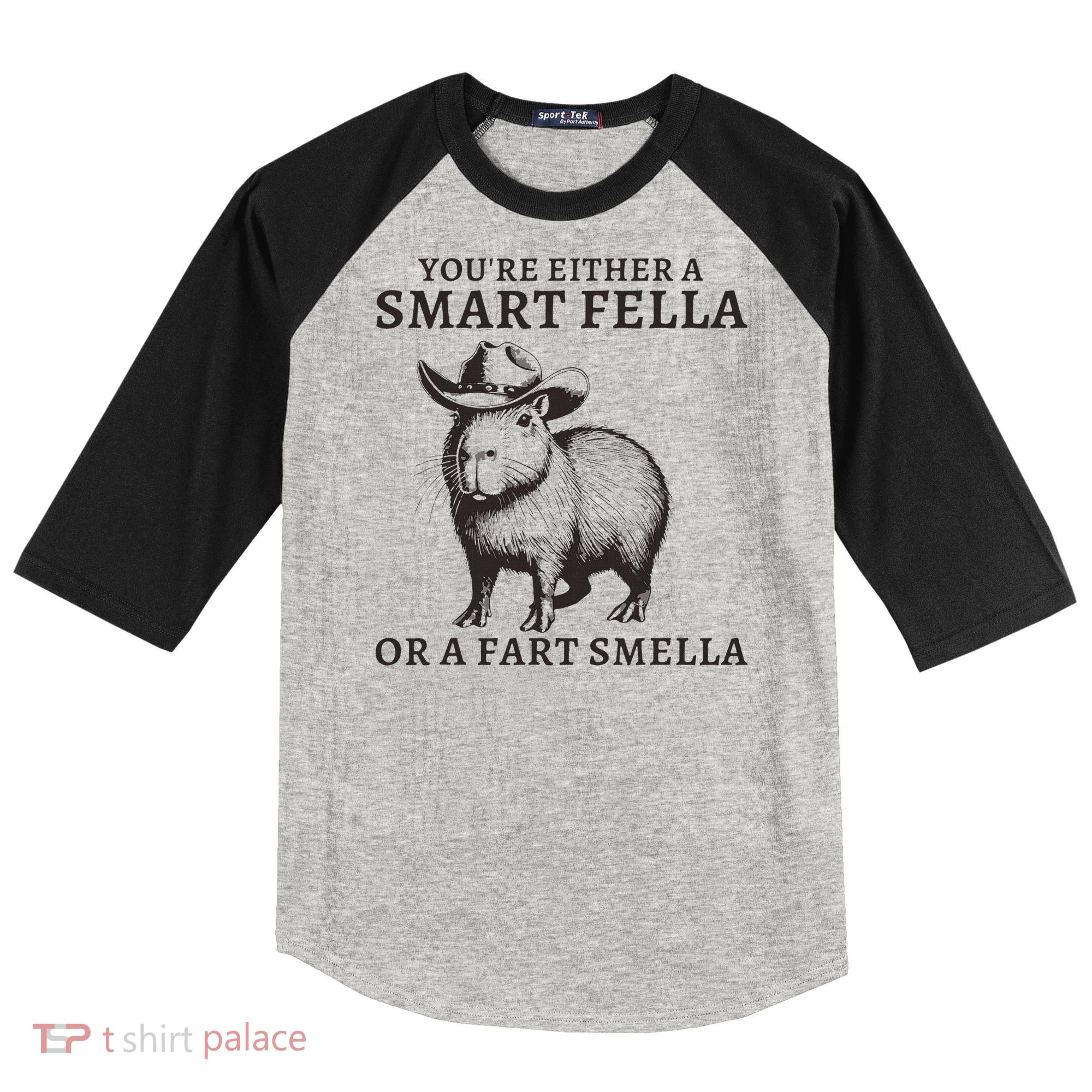 Funny Capybara YouRe Either A Smart Fella Or A Fart Smella Raglan Baseball Sleeve Shirt