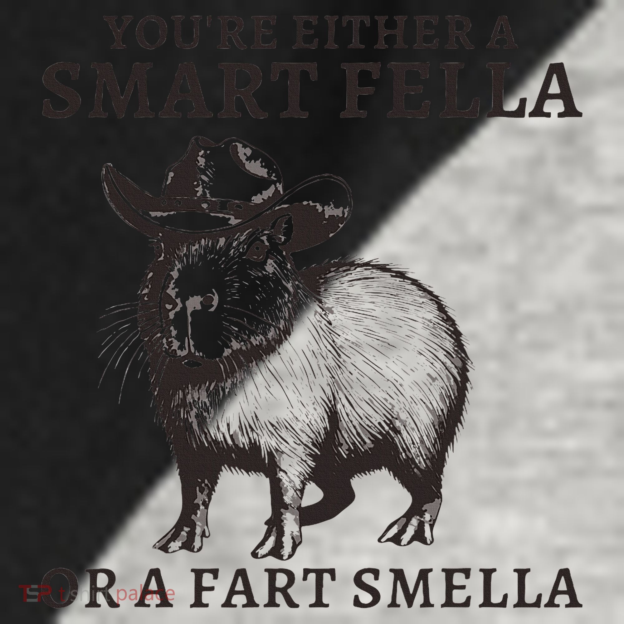 Funny Capybara YouRe Either A Smart Fella Or A Fart Smella Raglan Baseball Sleeve Shirt