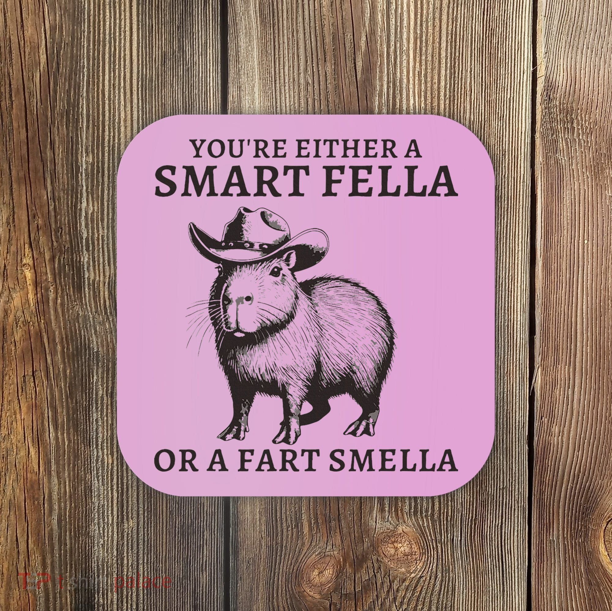 Funny Capybara YouRe Either A Smart Fella Or A Fart Smella Coaster