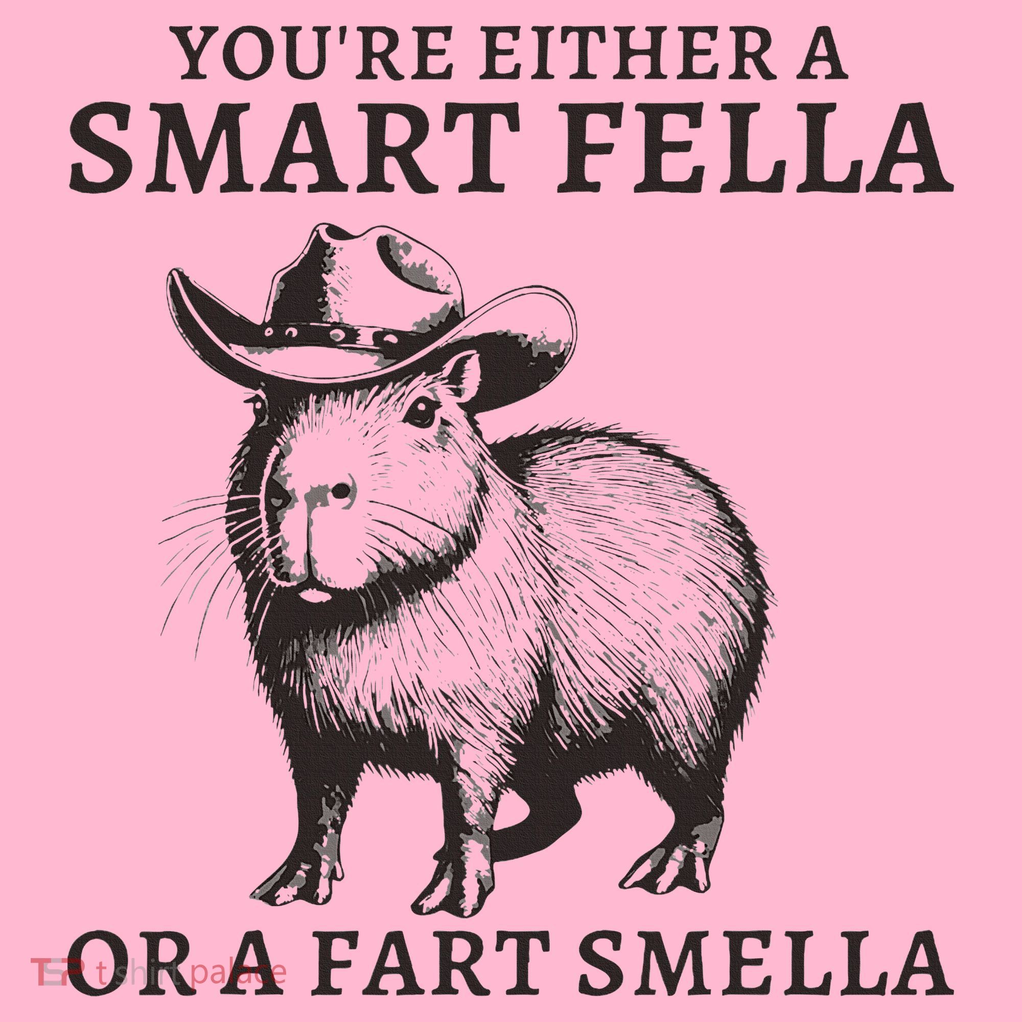 Funny Capybara YouRe Either A Smart Fella Or A Fart Smella Baby Long Sleeve Bodysuit