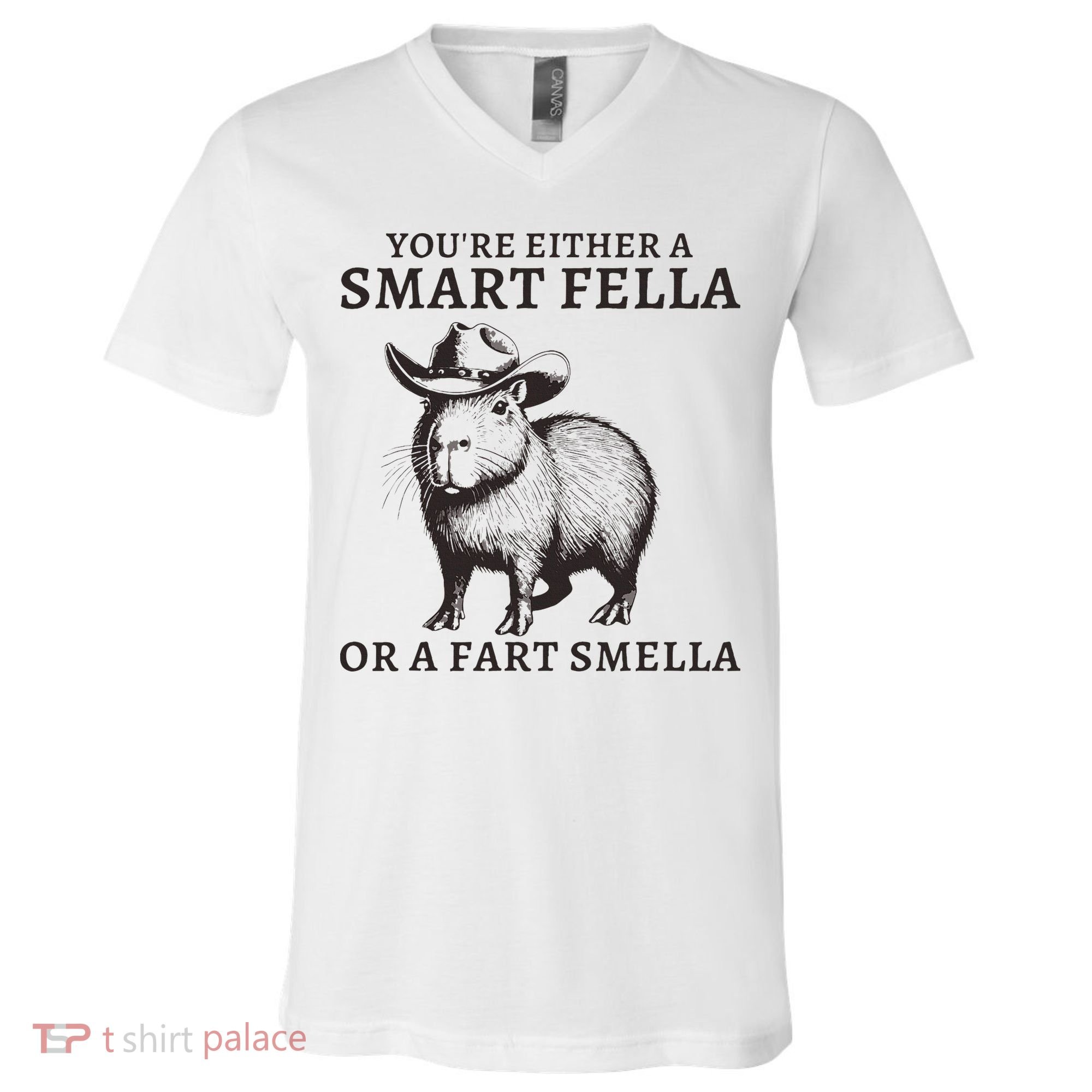 Funny Capybara YouRe Either A Smart Fella Or A Fart Smella V-Neck T-Shirt