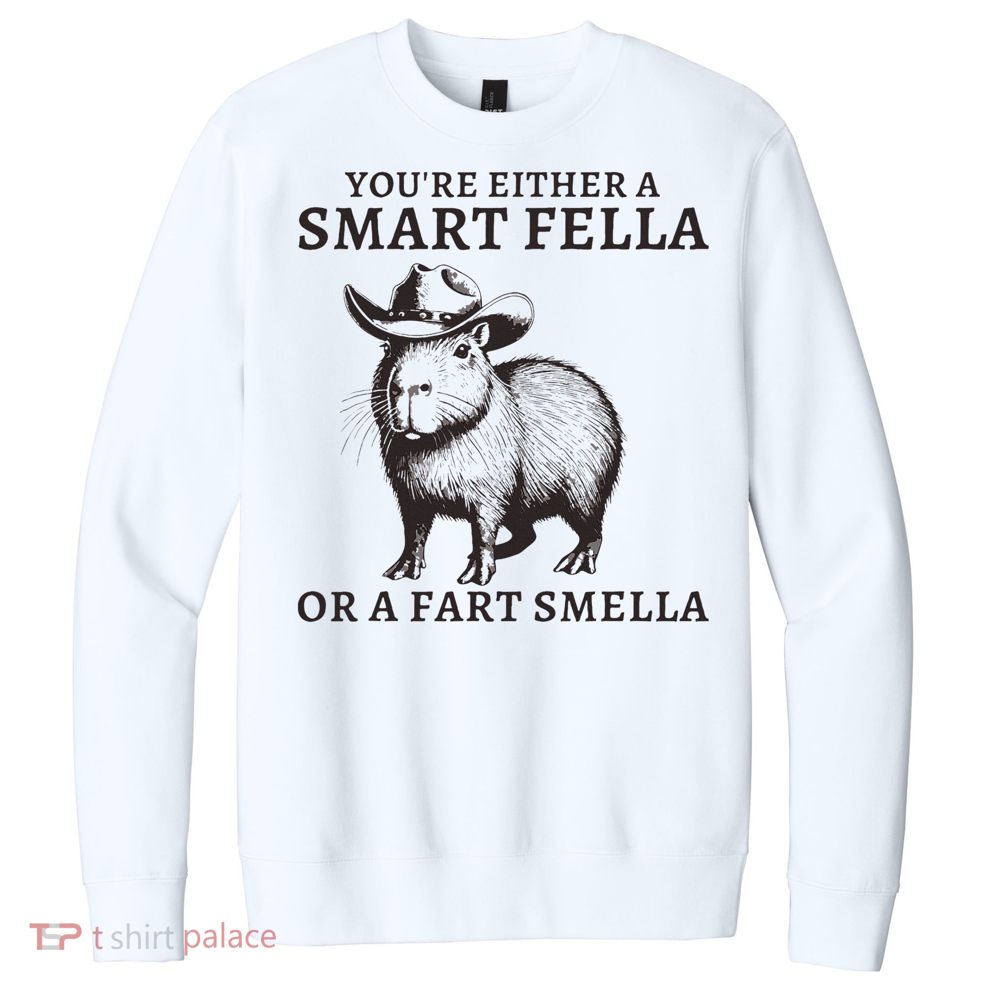 Funny Capybara YouRe Either A Smart Fella Or A Fart Smella V.I.T. Fleece Crew Sweatshirt